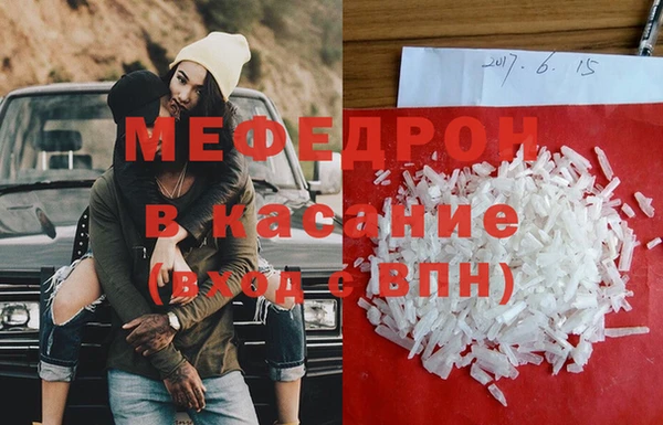 стаф Верея