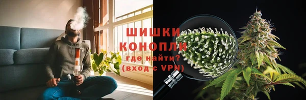 стаф Верея