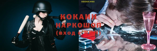 стаф Верея
