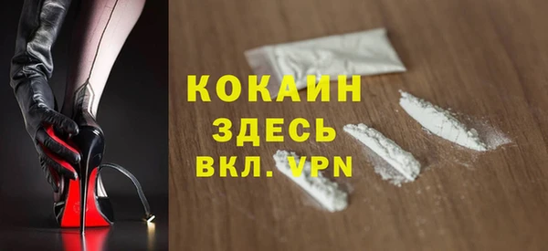 стаф Верея