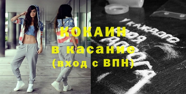 стаф Верея