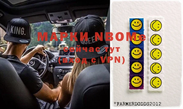 стаф Верея