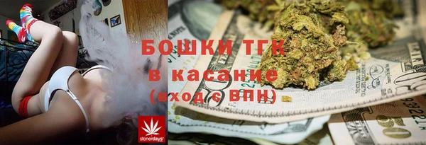 стаф Верея