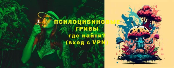 стаф Верея
